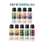 Bodyhub - Set of Essential Oils - Eucalyptus, Frankincense, Geranium, Lavender, Lemon, Orange, Patchouli, Peppermint, Rose