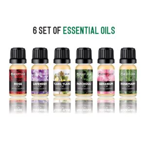 Bodyhub - Set of Essential Oils - Rose, Lavender, Ylang Ylang, Patchouli, Geranium, Rosemary