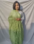 Green and White Georgette Chikankari Dupatta