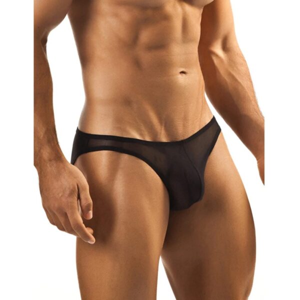 Men's Mesh Power Net Sexy Transparent Brief Underwear (Black)