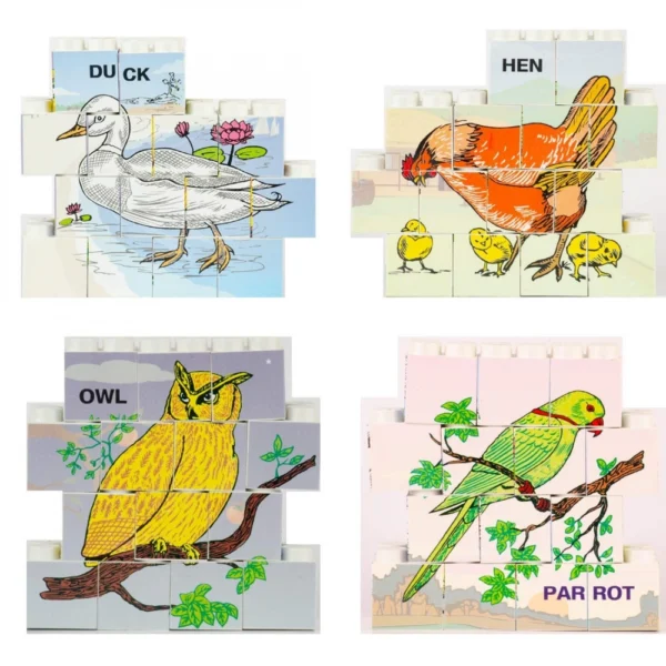 14 Pcs_Set Of Picture Blocks Bird Series (Color: Assorted)