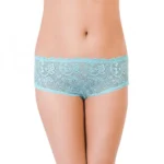 Generic Women's Nylon Mid Rise Lace With Medium Coverage Hipster Panty (Light Blue)